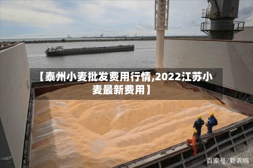 【泰州小麦批发费用行情,2022江苏小麦最新费用】