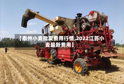 【泰州小麦批发费用行情,2022江苏小麦最新费用】-第3张图片