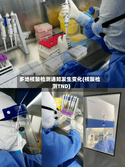 多地核酸检测通知发生变化(核酸检测TND)-第3张图片