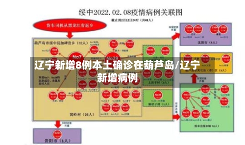 辽宁新增8例本土确诊在葫芦岛/辽宁新增病例