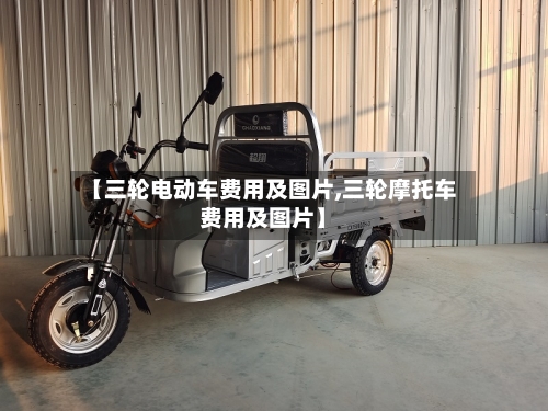 【三轮电动车费用及图片,三轮摩托车费用及图片】-第2张图片