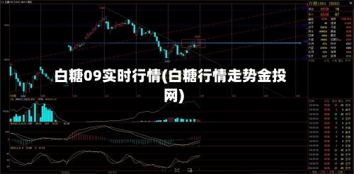 白糖09实时行情(白糖行情走势金投网)-第2张图片