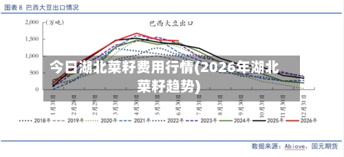 今日湖北菜籽费用行情(2026年湖北菜籽趋势)-第2张图片