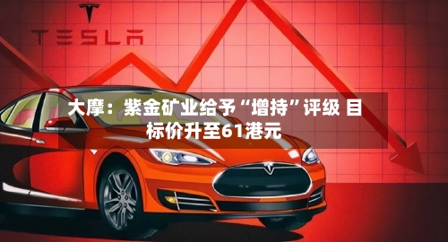 大摩：紫金矿业给予“增持	”评级 目标价升至61港元-第3张图片