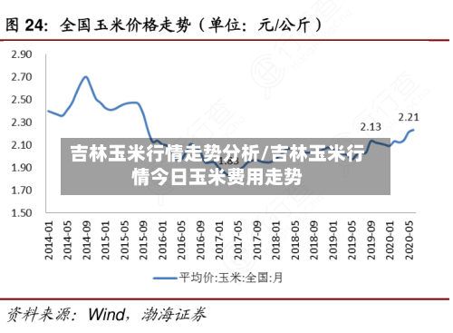 吉林玉米行情走势分析/吉林玉米行情今日玉米费用走势