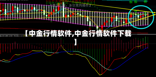 【中金行情软件,中金行情软件下载】