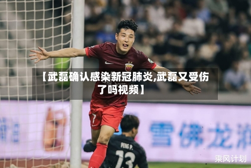 【武磊确认感染新冠肺炎,武磊又受伤了吗视频】-第2张图片