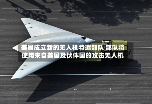 美国成立新的无人机特遣部队 部队将使用来自美国及伙伴国的攻击无人机-第2张图片