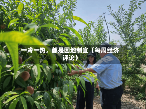 一冷一热，都是因地制宜（每周经济评论）