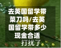 去英国留学带菜刀吗/去英国留学带多少现金合适