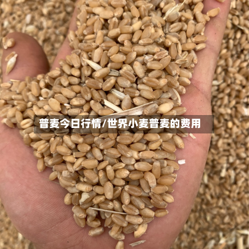 普麦今日行情/世界小麦普麦的费用-第2张图片