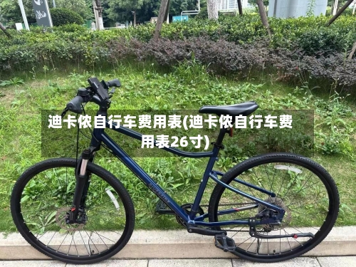 迪卡侬自行车费用表(迪卡侬自行车费用表26寸)