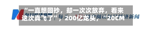 “一直想回抄，却一次次放弃，看来这次真飞了”，200亿龙头，“20CM”涨停