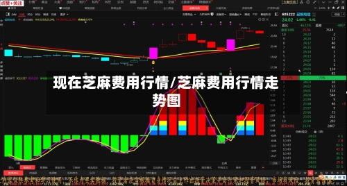 现在芝麻费用行情/芝麻费用行情走势图-第3张图片