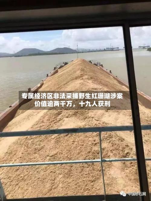 专属经济区非法采捕野生红珊瑚涉案价值逾两千万	，十九人获刑-第2张图片