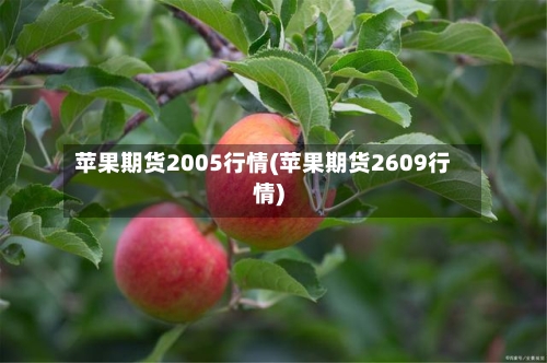 苹果期货2005行情(苹果期货2609行情)-第3张图片