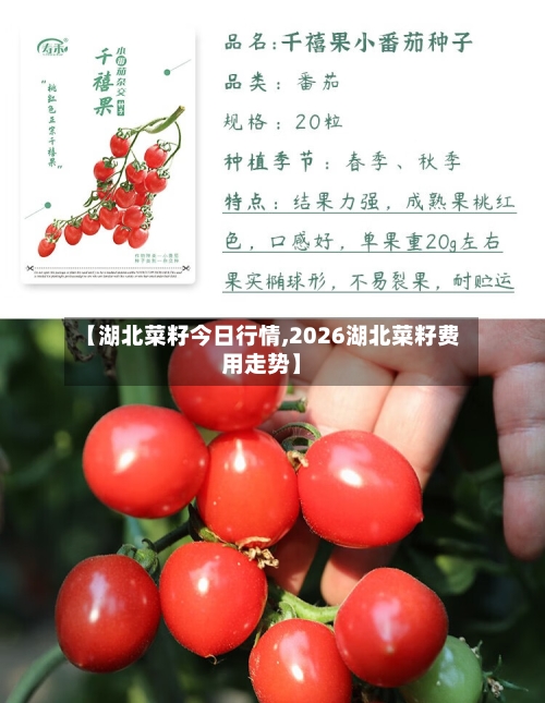 【湖北菜籽今日行情,2026湖北菜籽费用走势】-第3张图片