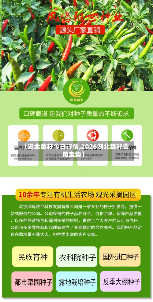 【湖北菜籽今日行情,2026湖北菜籽费用走势】