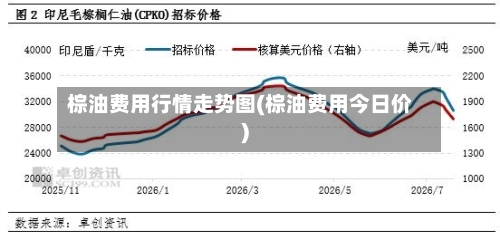 棕油费用行情走势图(棕油费用今日价)