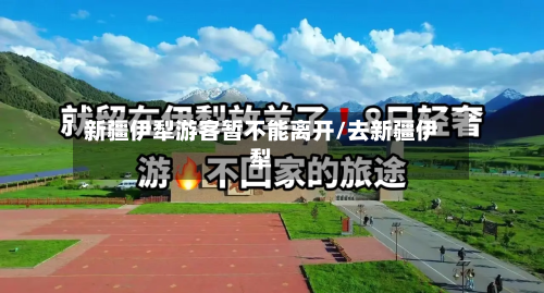 新疆伊犁游客暂不能离开/去新疆伊犁-第2张图片