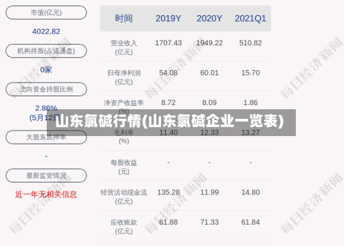 山东氯碱行情(山东氯碱企业一览表)-第2张图片