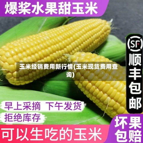 玉米经销费用新行情(玉米现货费用查询)-第2张图片