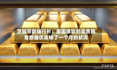 芝加哥联储行长：美国疲软的零售销售数据仅反映了一个月的状况-第2张图片