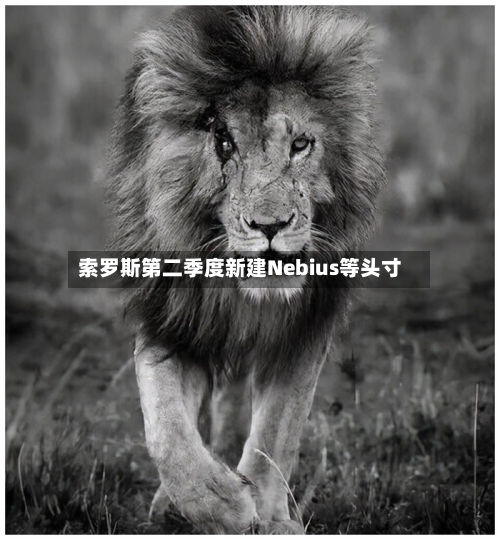 索罗斯第二季度新建Nebius等头寸