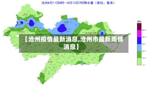 【沧州疫情最新消息,沧州市最新雨情消息】-第2张图片