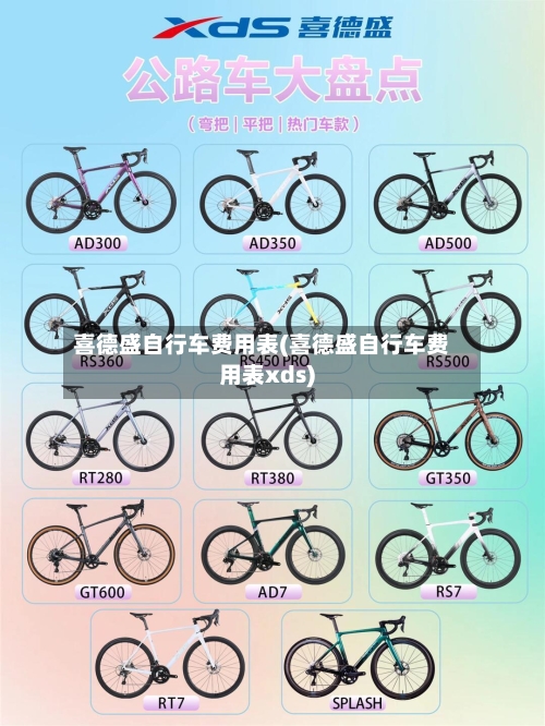 喜德盛自行车费用表(喜德盛自行车费用表xds)