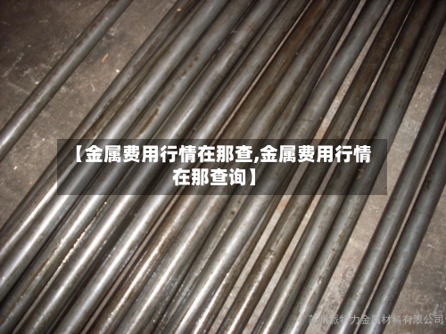 【金属费用行情在那查,金属费用行情在那查询】-第3张图片