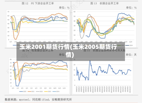 玉米2001期货行情(玉米2005期货行情)