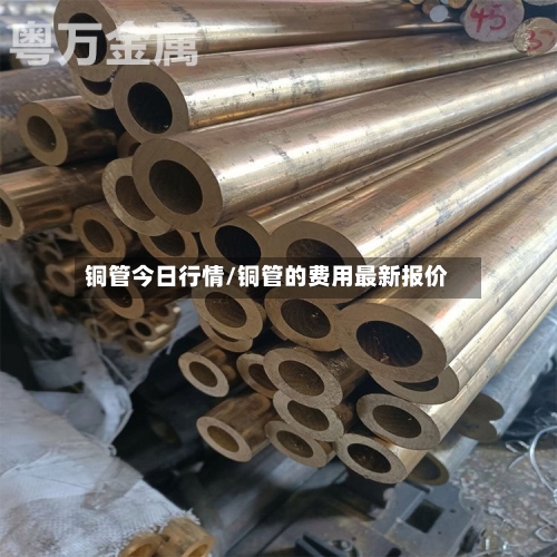 铜管今日行情/铜管的费用最新报价