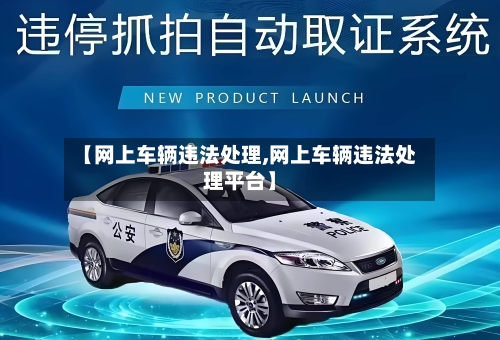 【网上车辆违法处理,网上车辆违法处理平台】