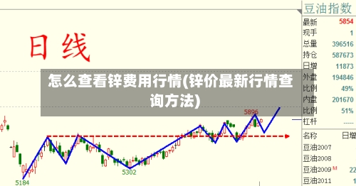 怎么查看锌费用行情(锌价最新行情查询方法)-第2张图片