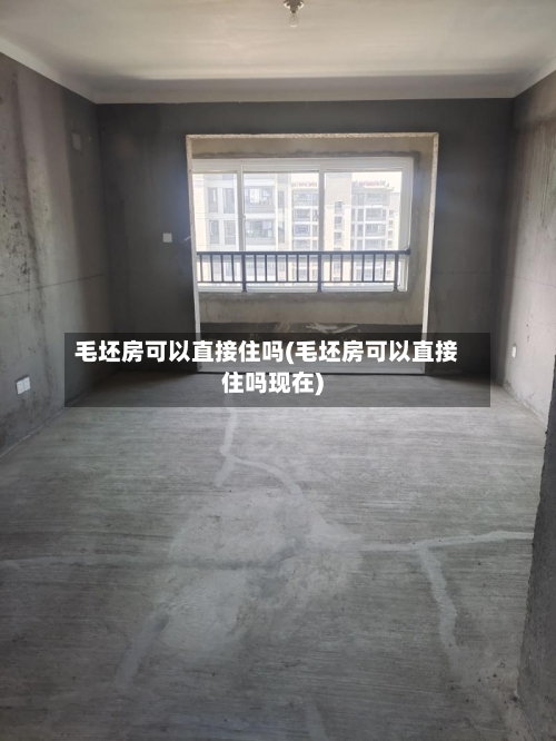 毛坯房可以直接住吗(毛坯房可以直接住吗现在)-第2张图片
