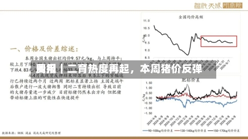 费用周报｜二育热度再起，本周猪价反弹