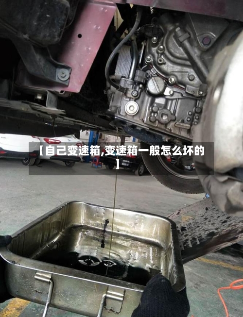【自己变速箱,变速箱一般怎么坏的】