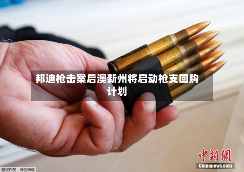 邦迪枪击案后澳新州将启动枪支回购计划-第3张图片