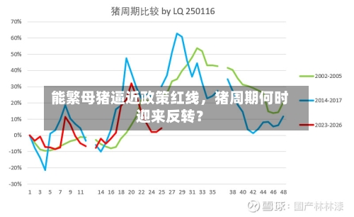 能繁母猪逼近政策红线，猪周期何时迎来反转？