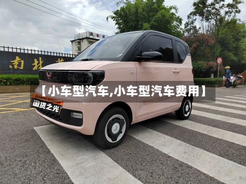 【小车型汽车,小车型汽车费用】