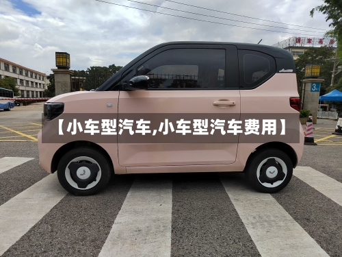 【小车型汽车,小车型汽车费用】-第2张图片