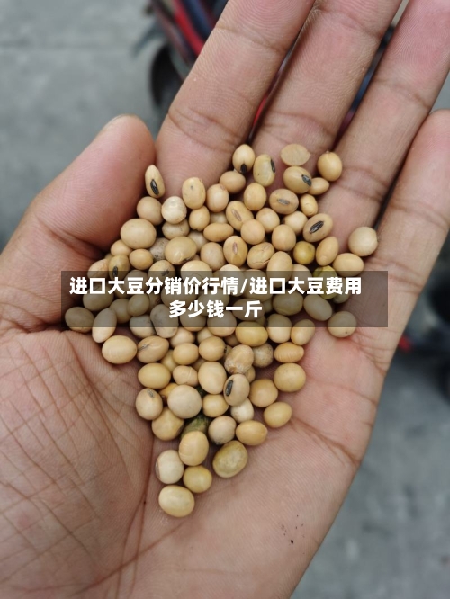 进口大豆分销价行情/进口大豆费用多少钱一斤