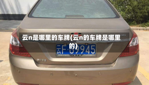 云n是哪里的车牌(云n的车牌是哪里的)-第2张图片