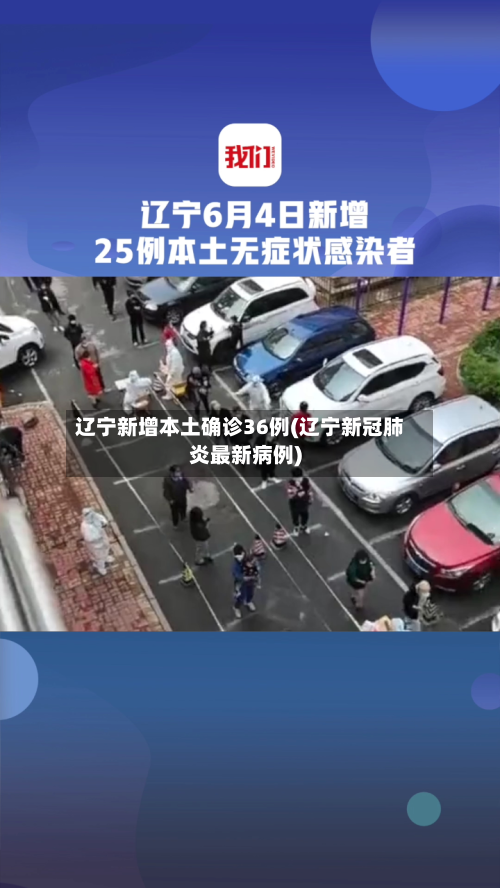 辽宁新增本土确诊36例(辽宁新冠肺炎最新病例)-第2张图片