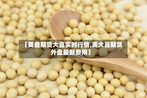 【美盘期货大豆实时行情,美大豆期货外盘最新费用】-第2张图片