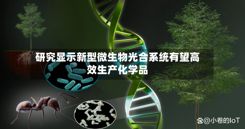 研究显示新型微生物光合系统有望高效生产化学品