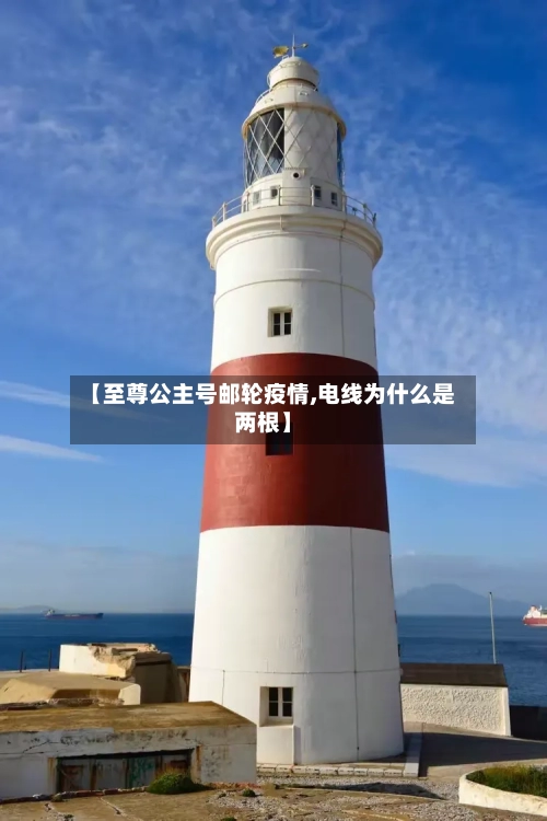 【至尊公主号邮轮疫情,电线为什么是两根】