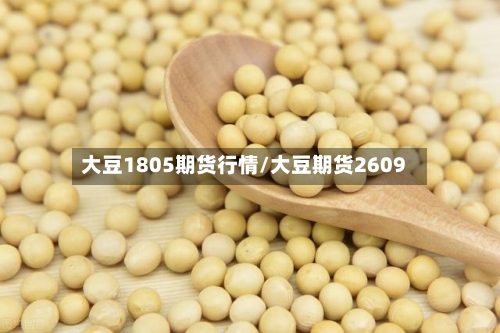 大豆1805期货行情/大豆期货2609-第2张图片