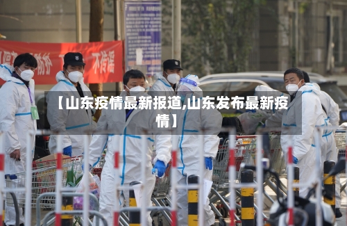 【山东疫情最新报道,山东发布最新疫情】